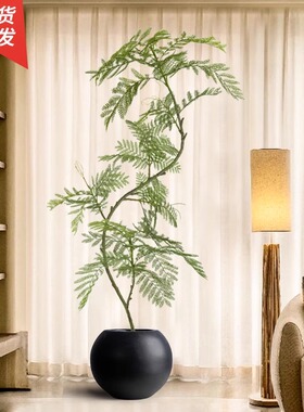 速发蓝花内绿植高仿质室楹客厅角落装饰直播间氛围感摆件品生植物