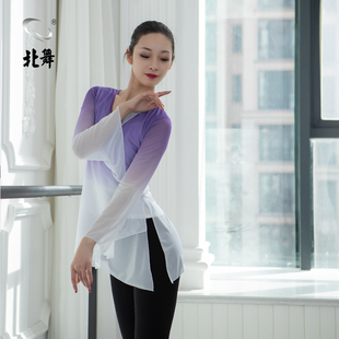 速发舞典舞蹈服古网纱衣艺考舞蹈服练功服成人舞蹈服上衣