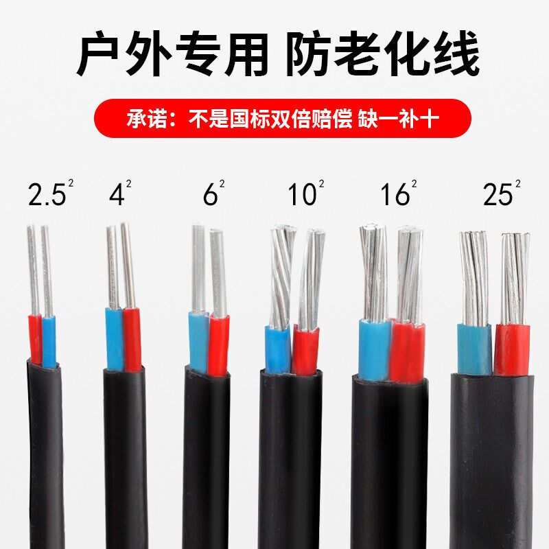 极速国标2芯铝芯家用户外电缆线电线4 6 10 16 25平方双芯铝线护