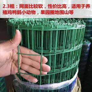 极速新款防护网铁护栏绿色栏网围网家用养殖网铁丝网防锈浸塑网子