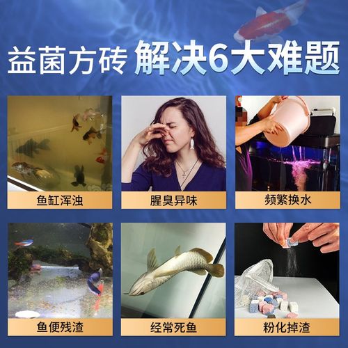 SQG鱼缸过滤滤材3D纳米益生菌方砖净水培菌材料消化细菌屋石英球