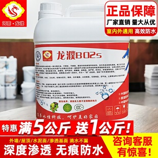 河南龙濮B02s纳米渗透防水透明屋顶外墙水泥漏水堵漏材料防潮防碱