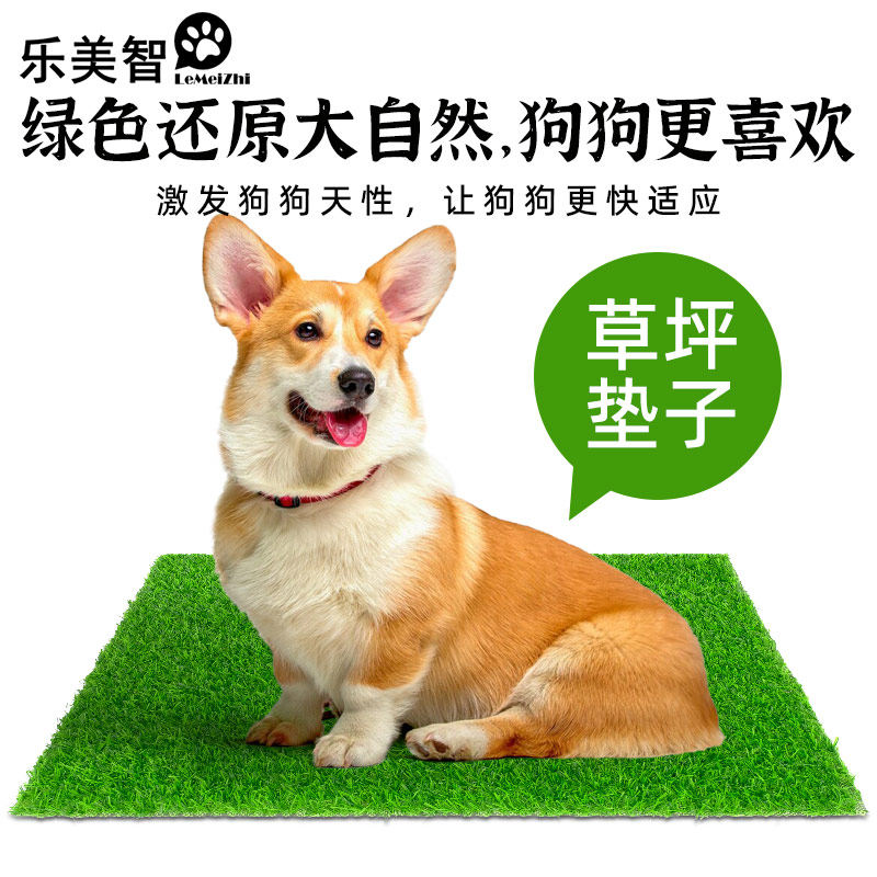 乐美智人造草坪网架厕所过渡垫 狗笼垫子 狗厕所垫子 软底不掉渣,鲜花速递/花卉仿真/绿植园艺,仿真绿植,淘宝优惠券,粉丝福利购,淘宝优惠卷