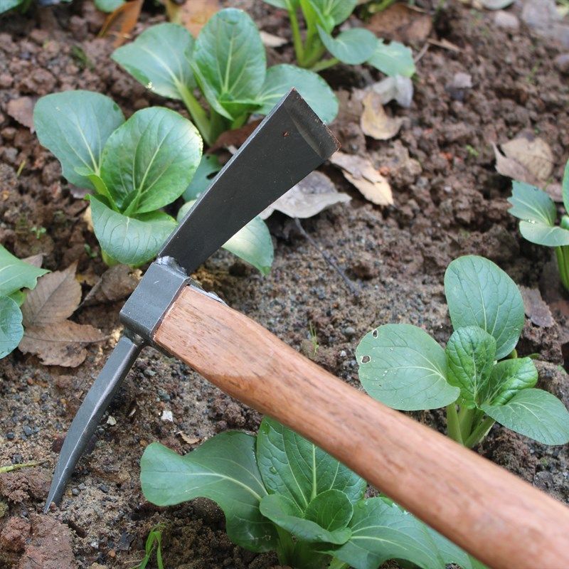 锄头加厚全钢户外挖笋松翻土除草工具家用农具园艺种菜两用神器,鲜花速递/花卉仿真/绿植园艺,锄头,淘宝优惠券,粉丝福利购,淘宝优惠卷