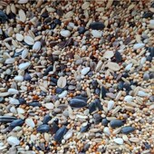 鹦鹉混合鸟粮牡丹玄凤等中小型鹦鹉鸟食饲料五色黍子谷子 5斤 包邮