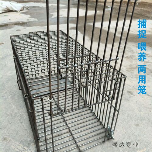 双门加密捕捉笼全自动抓猫神器铁笼老鼠笼动物人道救助笼无伤害笼