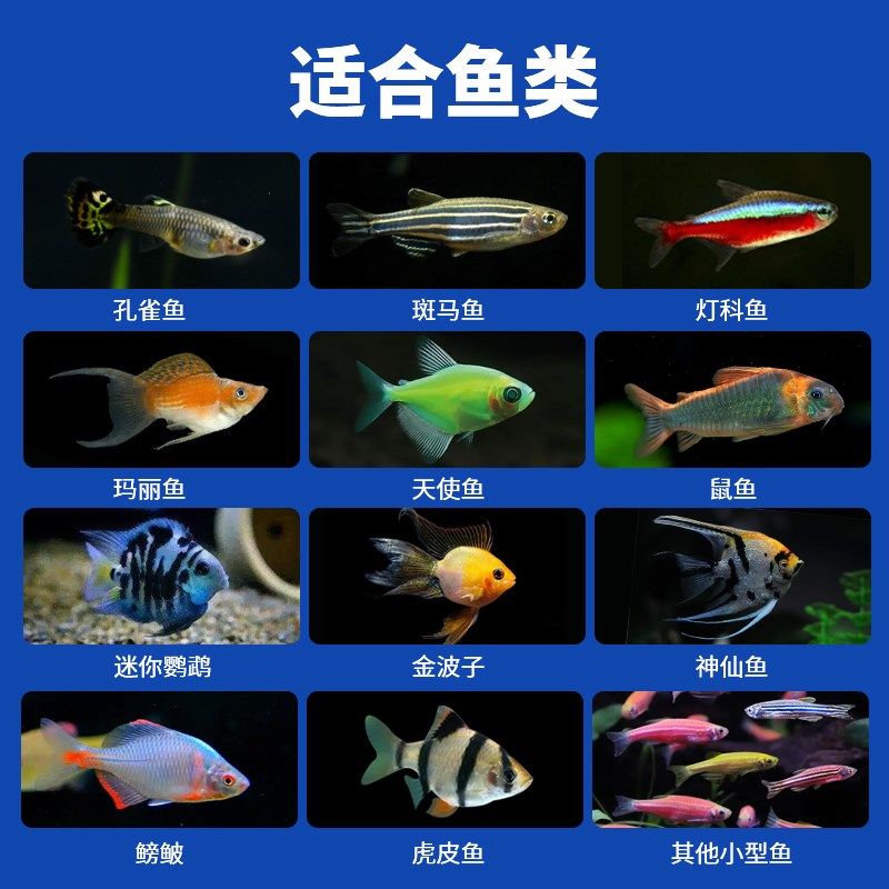 小型热带鱼粮孔雀鱼饲料斗鱼凤尾鱼血鹦鹉鱼微粒粮金鱼小鱼食薄片