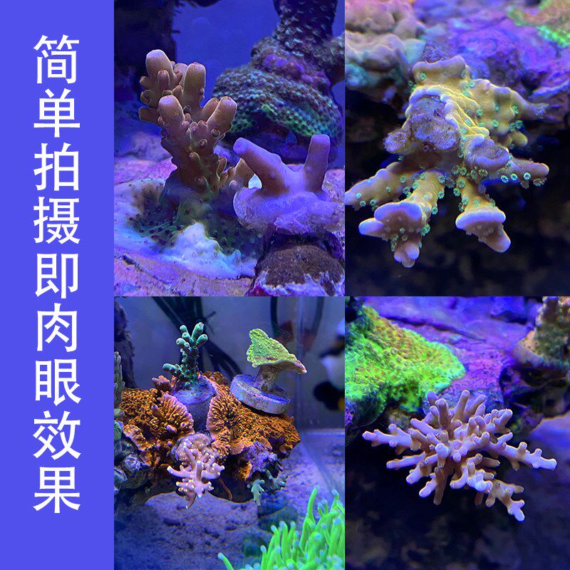 影魔奇海缸珊瑚滤镜除蓝光拍照还原真实色彩多层镀膜大孔夹子镜片