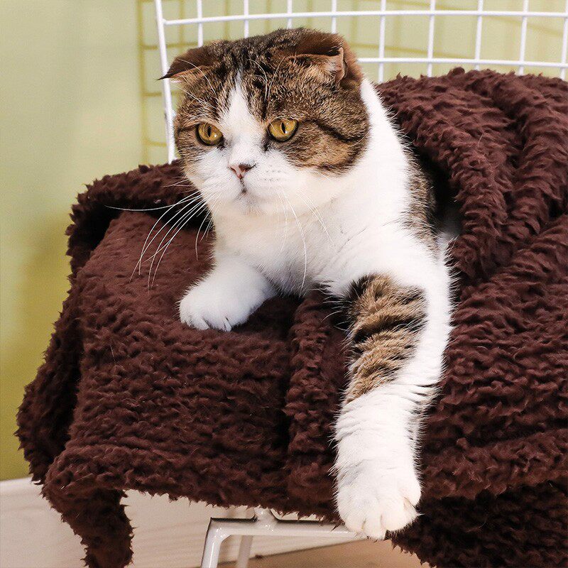 狗狗毛毯猫咪毯子小被子冬季保暖宠物睡觉冬天垫子长毛绒狗窝睡垫