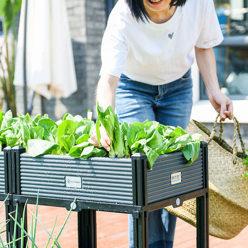 谢冰燃种植箱户外阳台种菜神器大号庭院花箱塑料组合花盆露台蔬菜