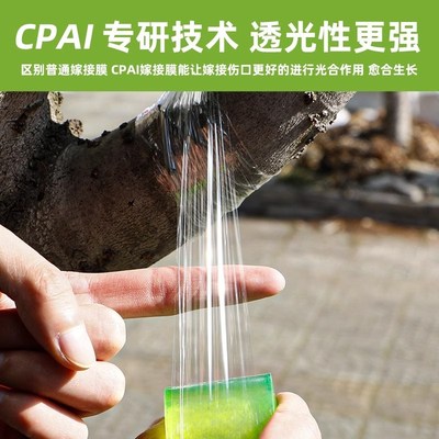 糯米纸嫁接膜专用膜免拆果树工业pe膜透明胶带接芽自粘式无需打结