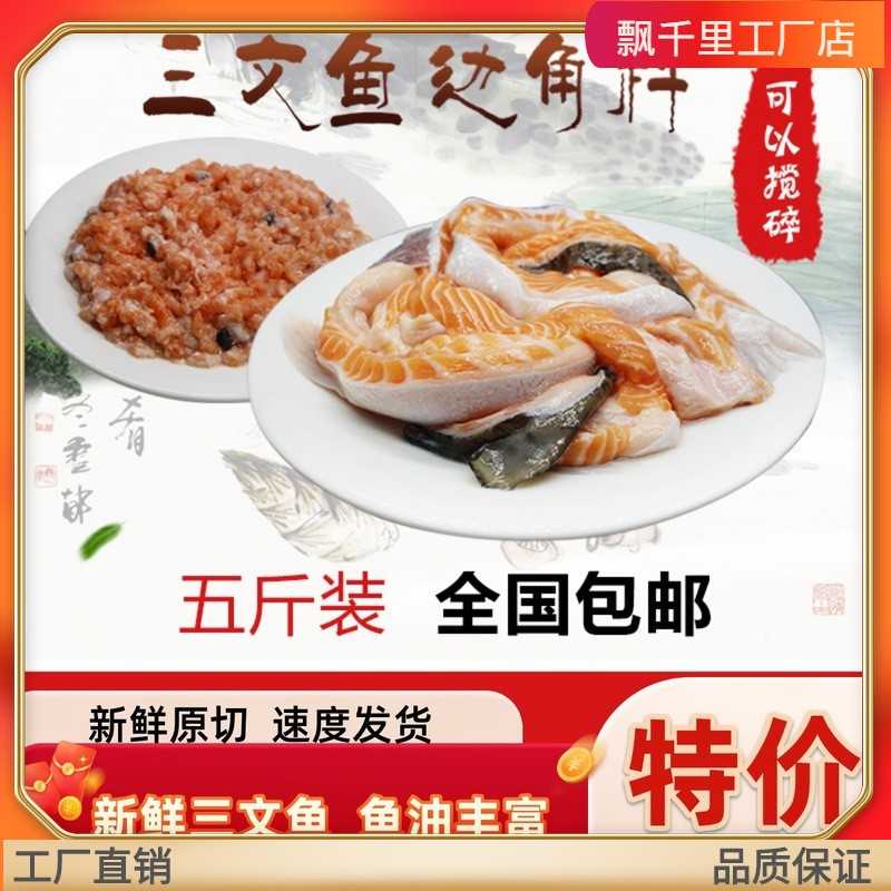 5斤装冰鲜宠物三文鱼边角料碎肉自制猫粮狗粮免费搅碎鱼油丰