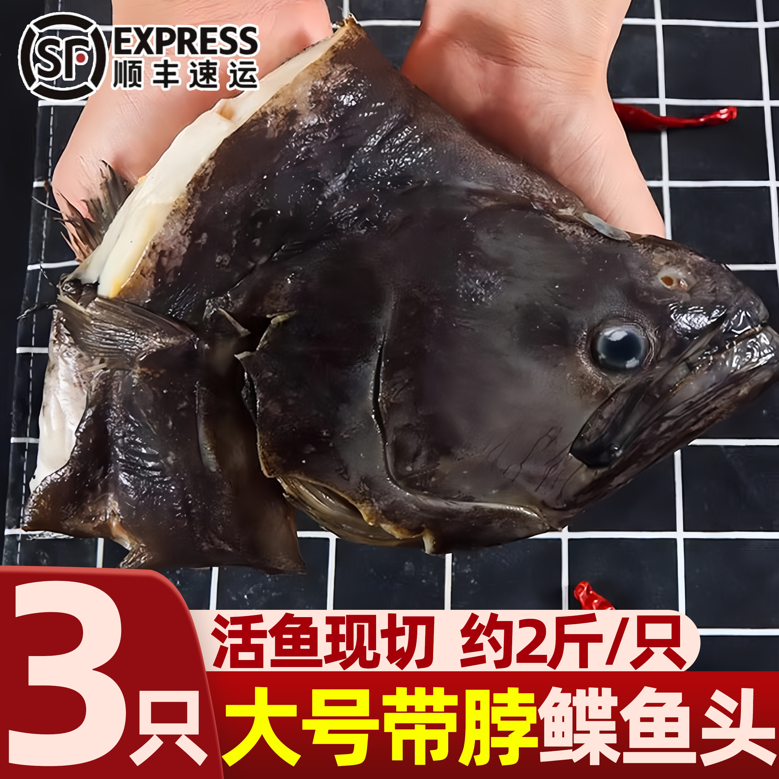 深海新鲜冷冻超大鲽鱼头批发