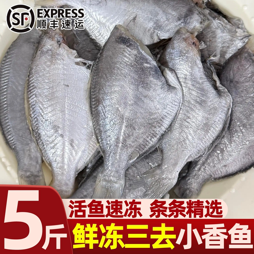新鲜冷冻三去香鱼肉5斤整箱