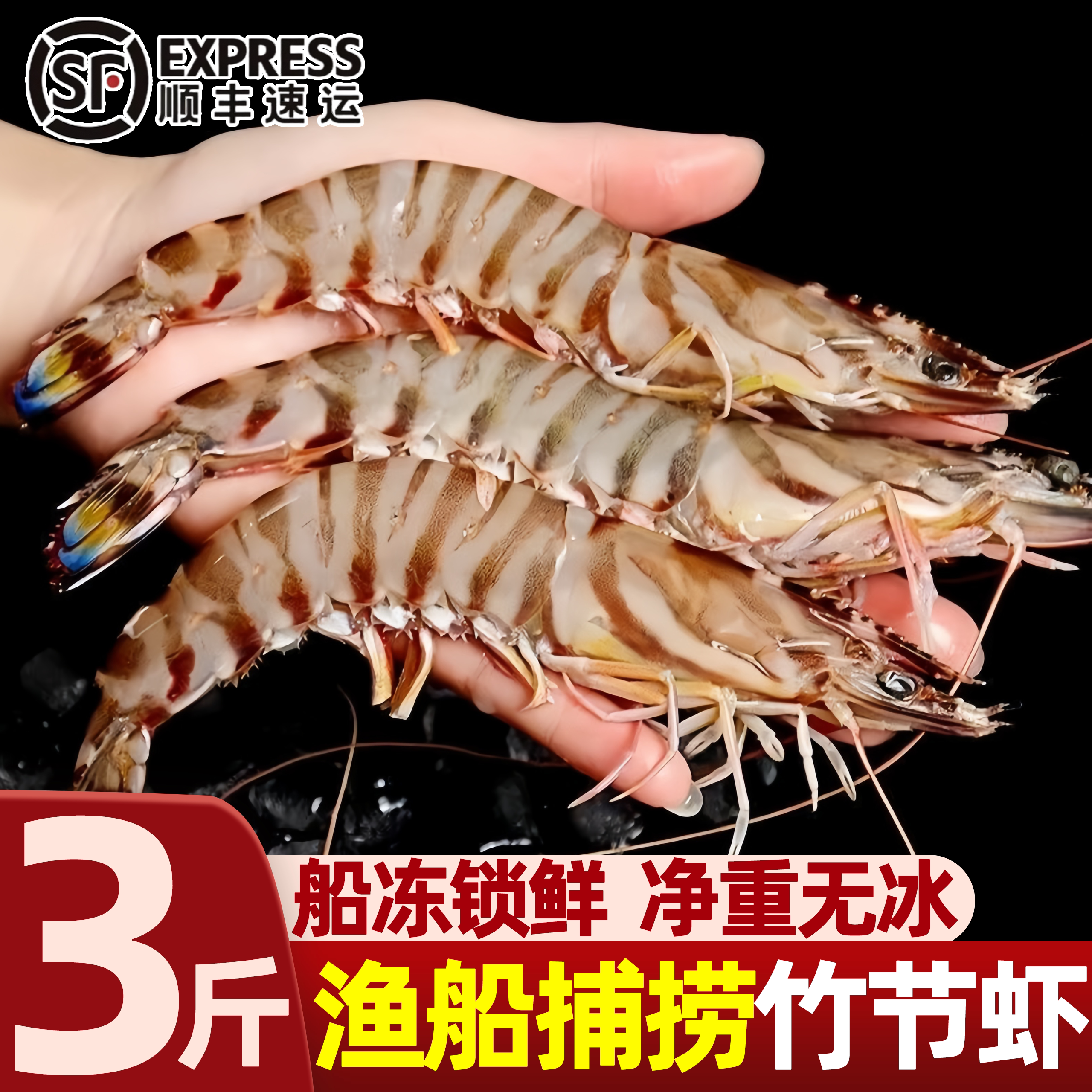 竹节虾海虾新鲜斑节虾子大虾