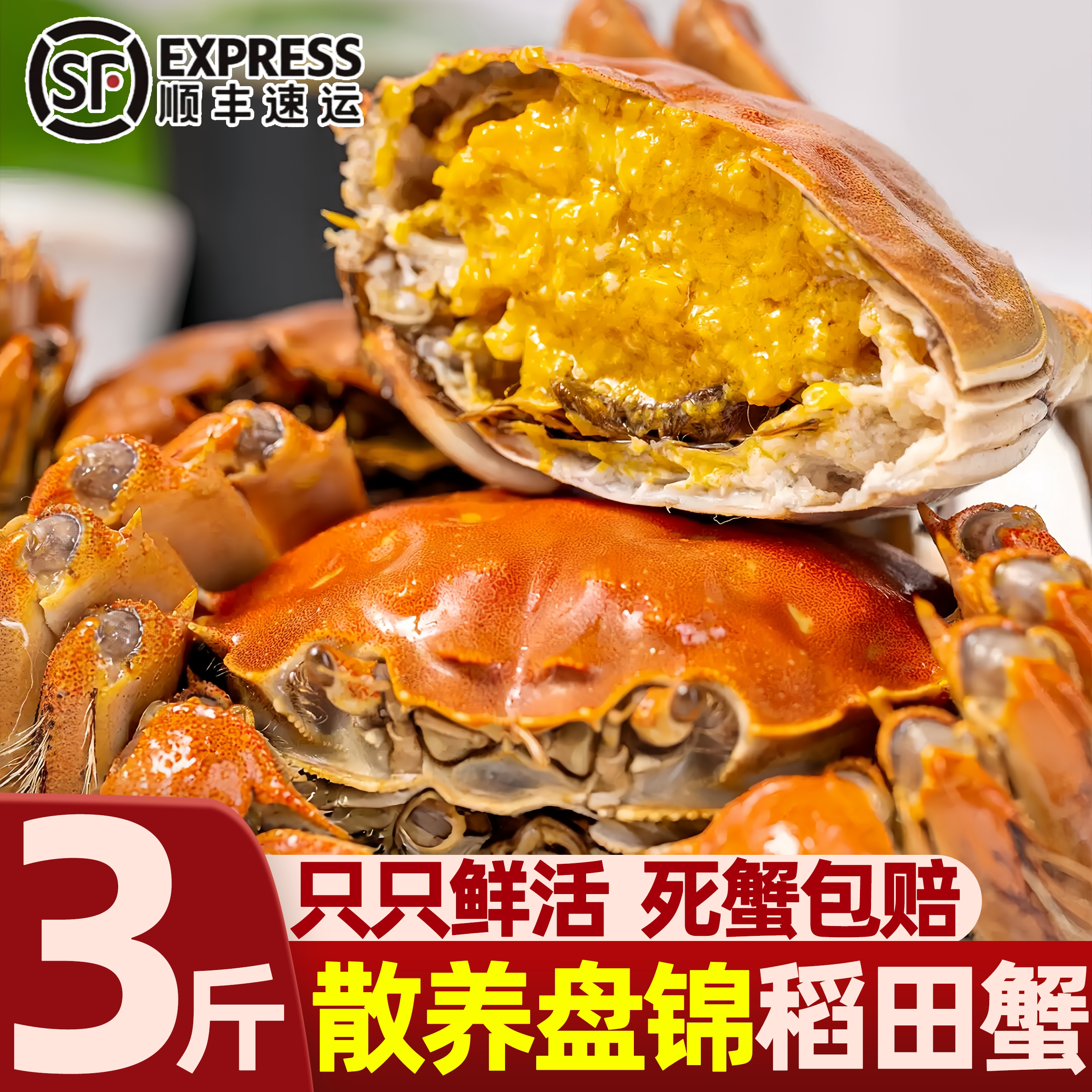 盘锦稻田鲜活特大母大闸蟹