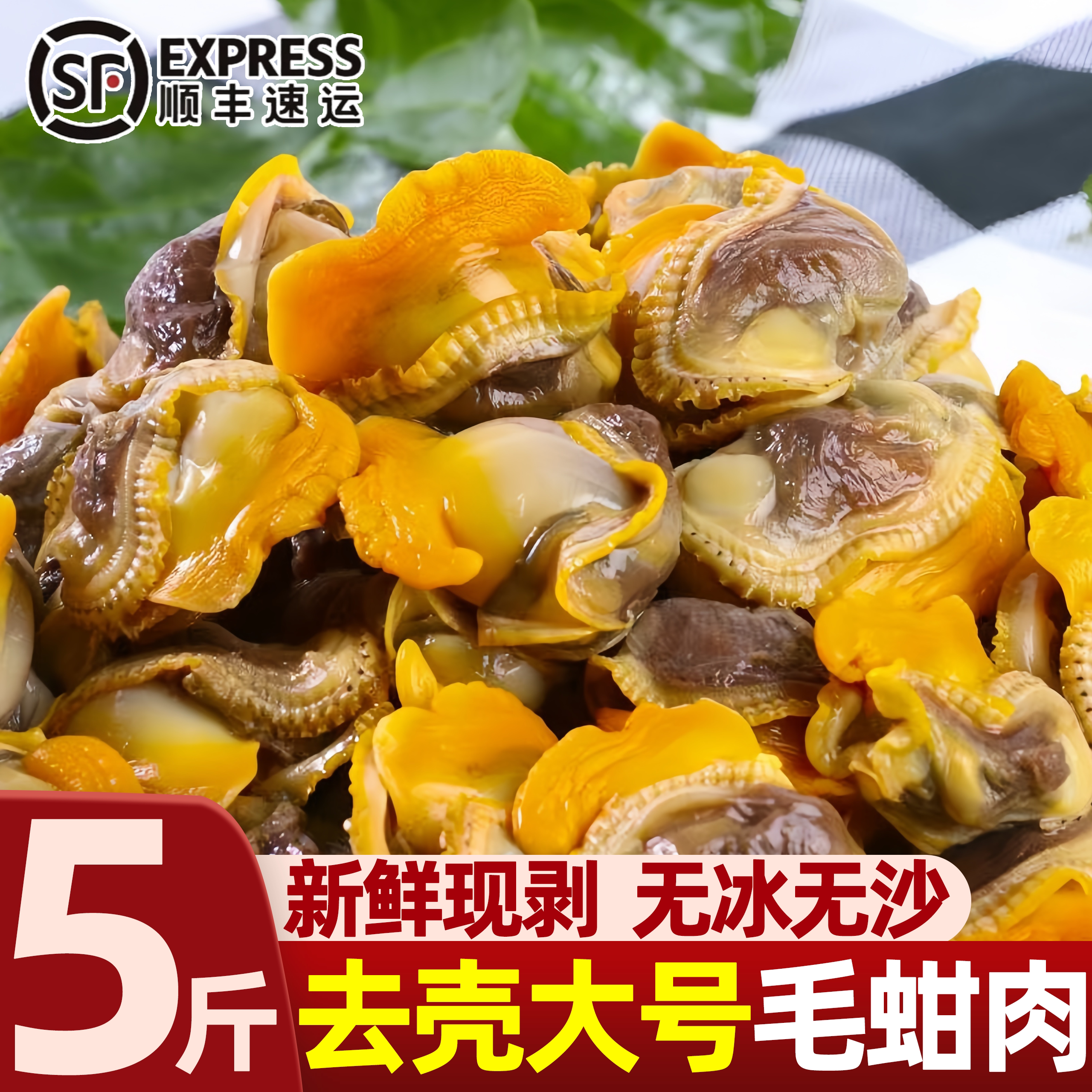 新鲜冷冻蛤蜊毛蚶嘎啦肉