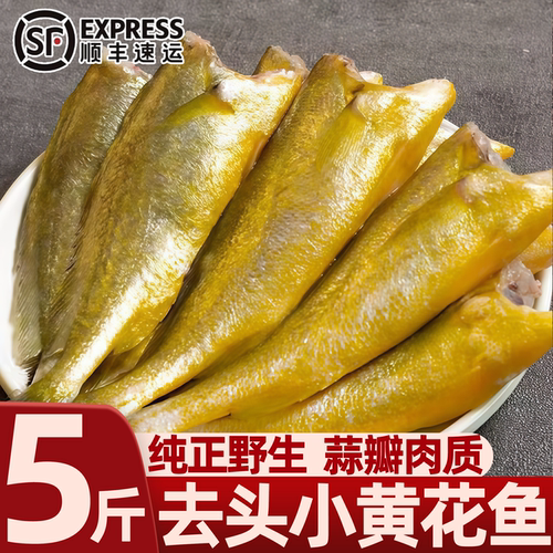 去头小黄鱼冷冻生鲜批发