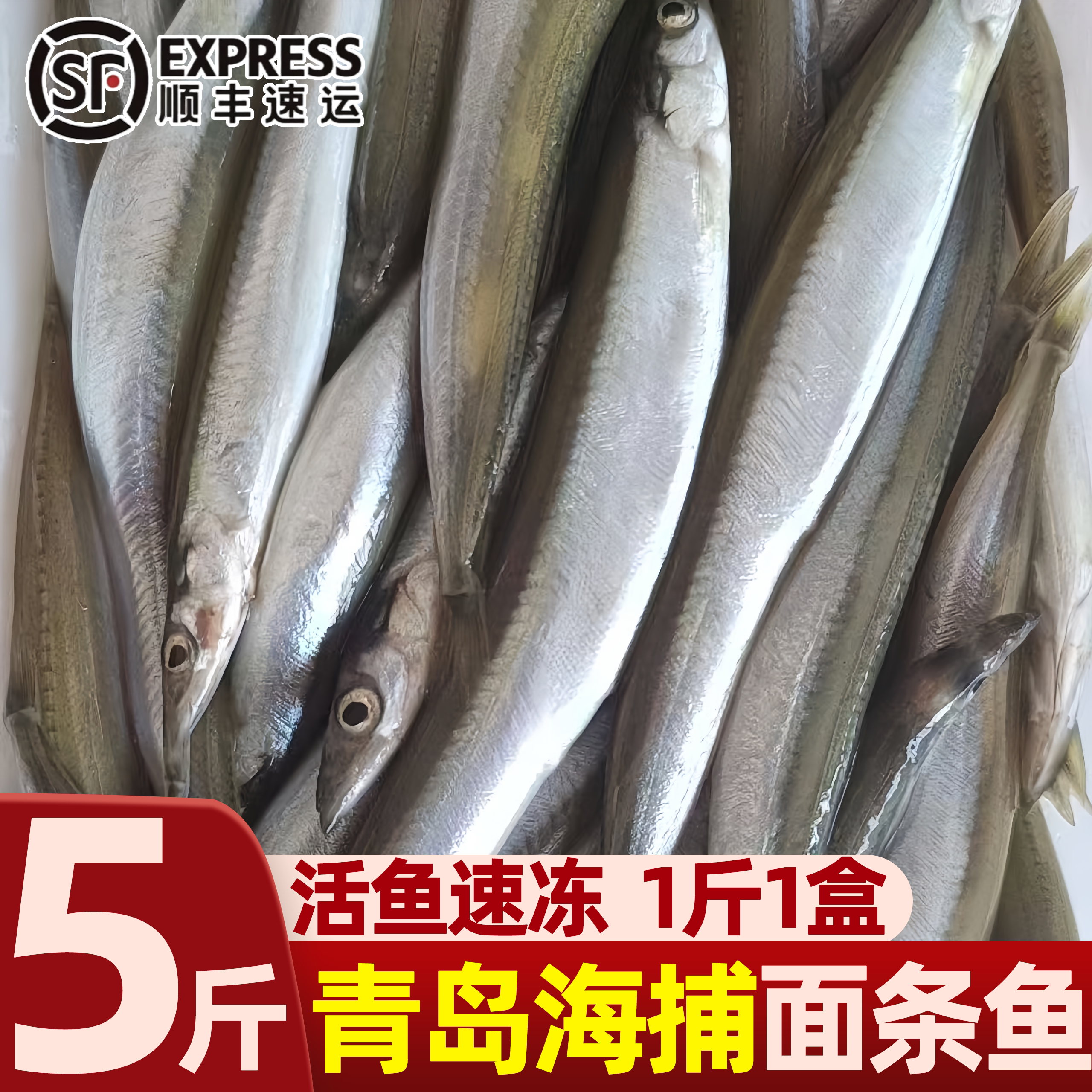 新鲜面条鱼鲜活冷冻海鱼海鲜沙丁