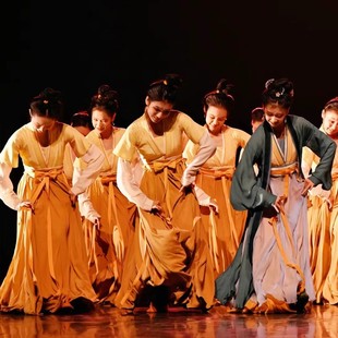 速发今朝花开舞蹈服中国风花供今朝汉唐舞族演服古服舞民表汉典演