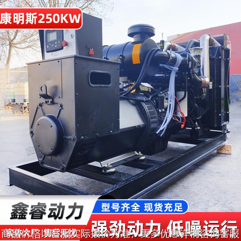 250KW发电机组 移动防雨工地常用备用 多功率柴油发电机组