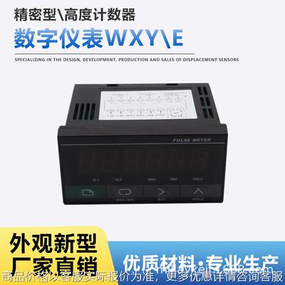 大号WXY/E脉冲仪表 频率表 转速表 磁栅尺仪表 栅尺仪表 编码器仪