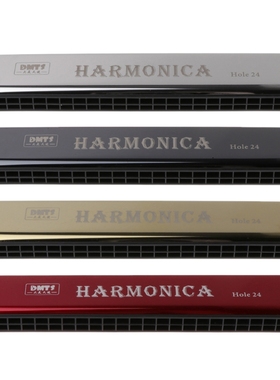 Professional 24 Hole Harmonica Mouth Metal Organ for Beginne