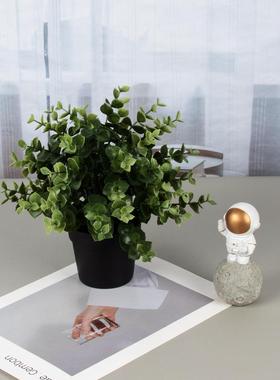 家居人造盆栽组合牛至盆栽办公桌面百里香仿真盆景