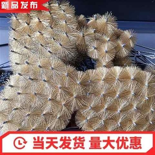 除锈刷刷内管道洗刷/孔刷铜丝铜丝新款刷管钢丝圆钢丝管道