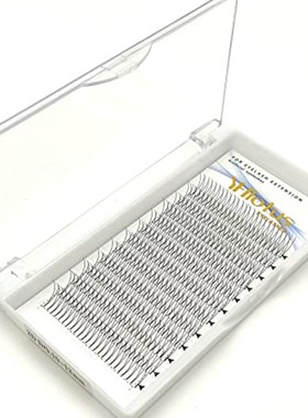 Pro Made Volume Fans 2d Lash Extension 0.1mm Thickness Russi