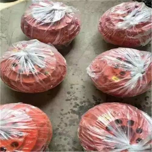 YOX400液力耦合器 煤矿用40T联轴器YOX600 带制动轮梅花垫