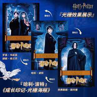 正版 饰画宿舍墙贴联名斯内普赫敏礼物 哈利波特电影光栅海报房间装