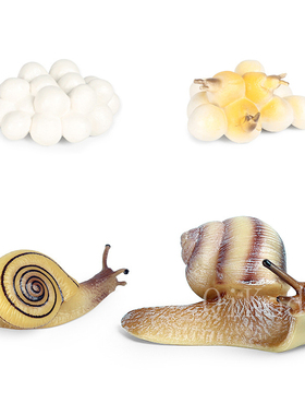 Simulation Animals Growth Cycle Model Cock Locust Earthworm