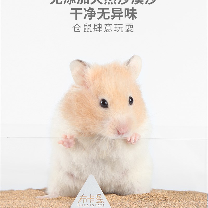 布卡星沙漠沙仓鼠浴沙用品金丝熊尿砂除油干爽粗细造景沙夏天垫料