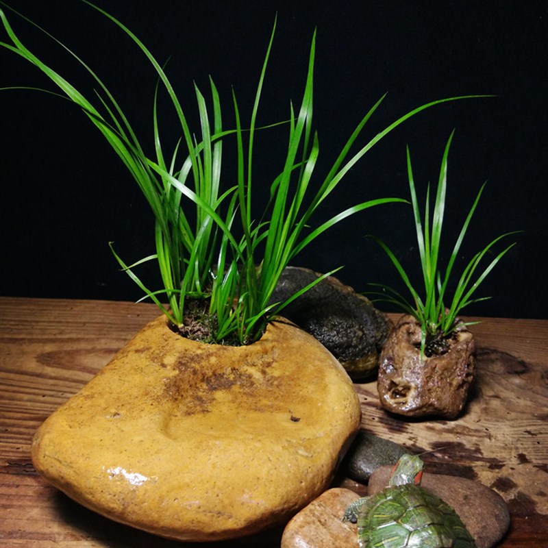 天然石头 乌龟晒台爬台 爬宠造景装饰 菖蒲攀附石蜘蛛食盒饮水盆