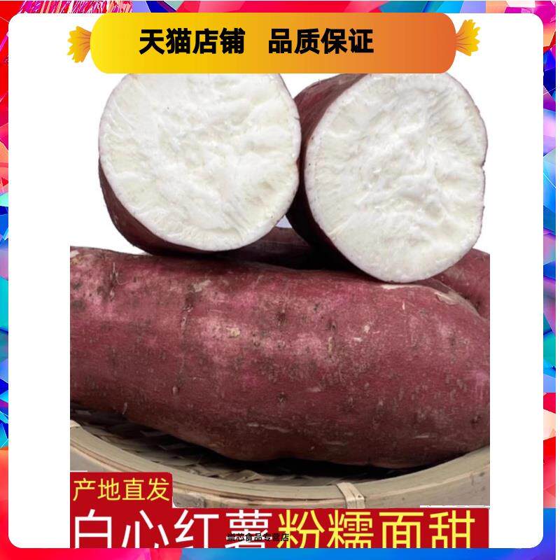 河南白心板栗薯红皮干面地瓜新鲜白瓤山芋白薯干心番薯白芯红薯