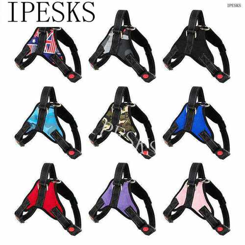 极速Dog leash golden chest harness dog leash husky collar do