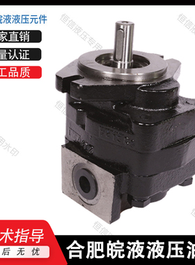 合肥皖液齿轮泵CBNJ-F532/F540/F550/F563-BFPR 铸铁液压油泵