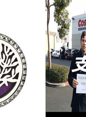 Aromatherapy Essential Oil Diffuser Necklace Locket or Perf