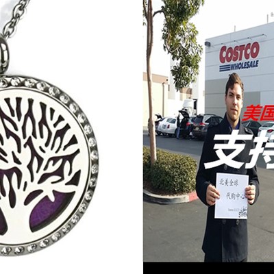 Aromatherapy Essential Oil Diffuser Necklace Locket or Perf