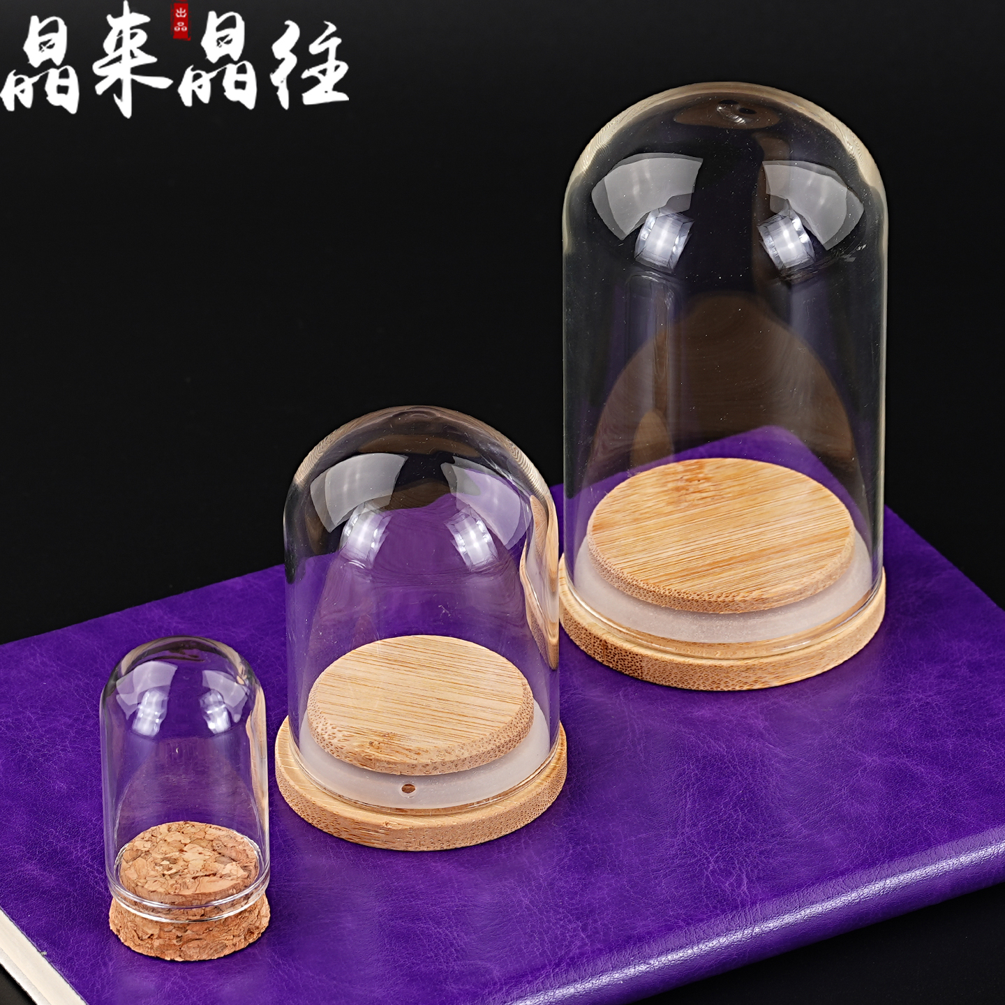 玻璃标本瓶子观赏展示盒