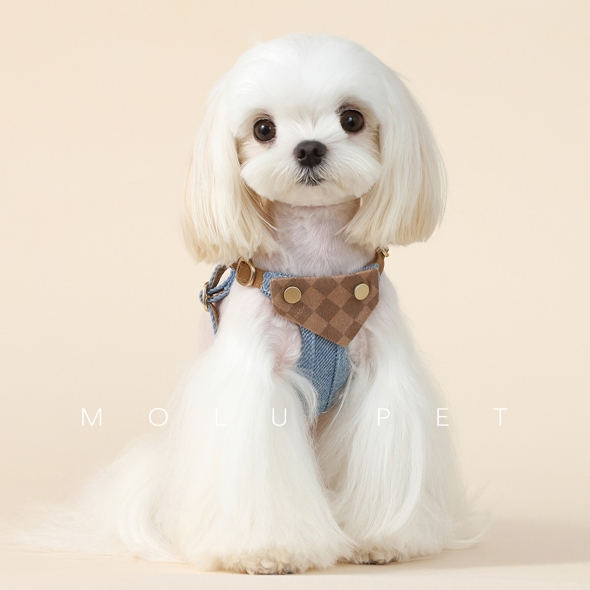 molu pet狗狗牵引绳小型中犬狗绳子遛狗绳背心式泰迪防挣脱胸背带