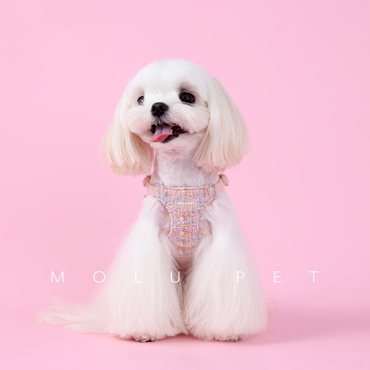 molu pet狗狗牵引绳小型犬狗绳子遛狗绳背心式小香风防挣脱胸背带