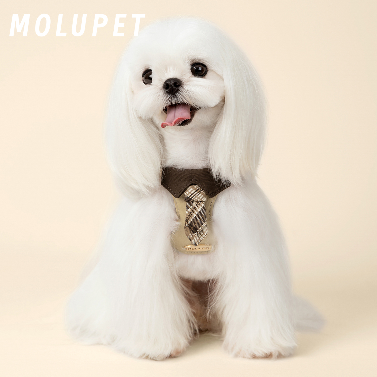MOLU PET狗狗牵引绳小型中犬狗绳子遛狗绳背心式领带防挣脱胸背带