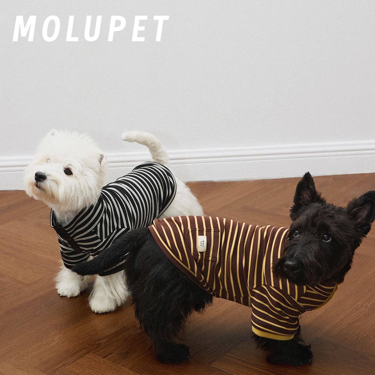 秋冬季法斗衣服薄款防掉毛