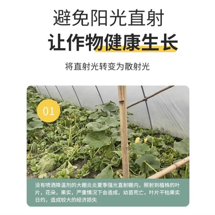 立凉大棚降温剂蔬菜温室防晒剂喷雾剂F涂料棚膜遮阳剂抗老化耐冲