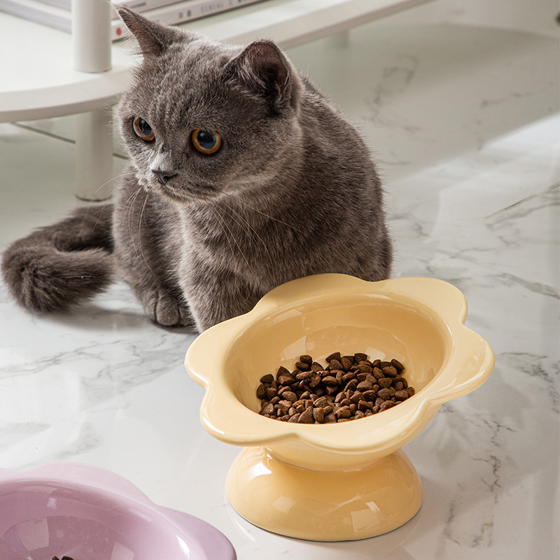 现货速发元気喵丨太花朵猫碗陶瓷水碗猫咪食盆斜口高脚保护防打翻