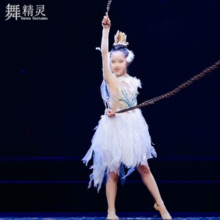快速发货少儿g舞蹈剧目表演服装 演出服飘逸中国舞桃李杯 灵羽同款