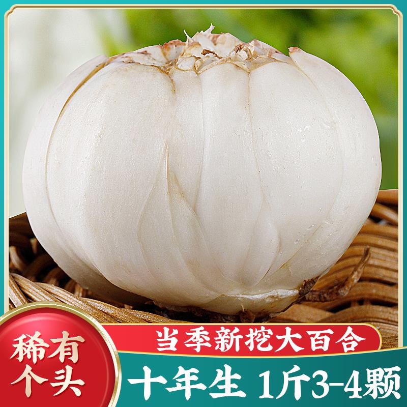 10年生大个头1斤3-4个兰州新鲜食用甜百合500g特产非百合干货特级