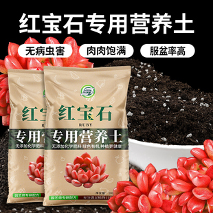 速发红宝石专用用有肉营养土花卉盆栽多机植物通土土椰糠植料腐殖